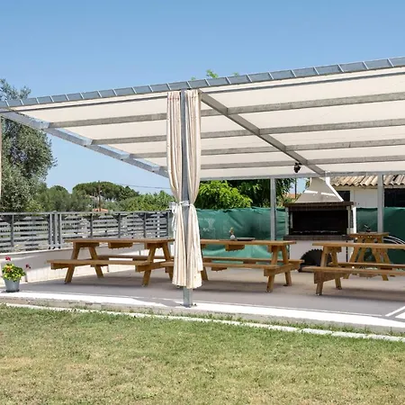 Palm Tree #feelslikehome * 奥马斯帕纳吉亚斯