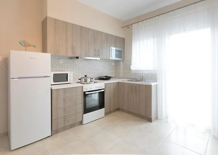 Palm Tree #feelslikehome *