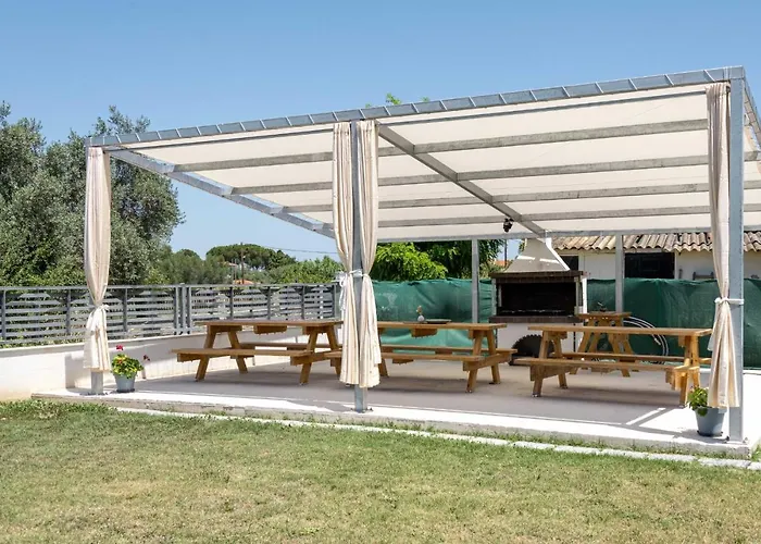 Palm Tree #feelslikehome * Ормос-Панайяс