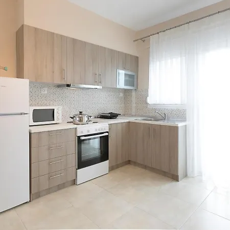 Palm Tree #feelslikehome *